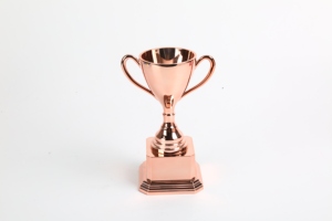 ของขวัญวันแม่และวันพ่อพลาสติก ABS ซูเปอร์วูแมนและผู้ชายมีการพิมพ์สกรีนด้วยรังสียูวีและผ้าไหมมินิถ้วยรางวัล - Product Image 2