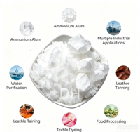 Poudre d'alun de potassium de qualité alimentaire, blanche, en bloc, en barre, en morceau, type Phitkari, pour rasage, aspect poudre
