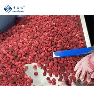 Iqf Raspberry Sinocharm Frozen Organic Raspberries 95% Whole 5% Crumble Bulk IQF Organic Raspberry From China