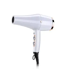 Wholesale AC DC Motor Private label professional salon hair dryer with diffuser