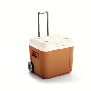 Glacière portable 52L personnalisée facile à transporter, grande glacière isotherme en plastique pour usage médical et extérieur - Product Image 1