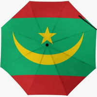 Parapluie pliant entièrement automatique, motif drapeau marocain, protection contre le soleil et la pluie, style culturel, résistant aux intempéries
