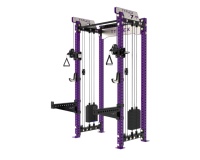 Système de poulie réglable Machine de gymnastique à domicile Entraîneur fonctionnel de musculation multifonction pour Station d'entraînement à domicile
