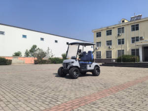 Voiture de golf electricak 2024 voiturette de golf rue buggy adulte légal - Product Image 2