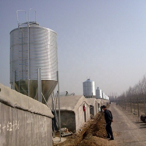 Ligne d'alimentation pour volaille d'élevage d'animaux entièrement automatique, hangar à poulets/équipement domestique pour volaille/<span class=keywords><strong>race</strong></span>/oiseau de <span class=keywords><strong>poulet</strong></span> - Product Image 1