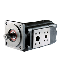 Pompa Gigi Hidrolik Parker P30 P31 P75 P76 P51 P50 Motor Gigi Tandem Pompa Oli Gigi Tekanan Tinggi