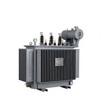 Transformateur triphasé entièrement scellé S22-M immergé dans l'huile avec enroulement en cuivre sans oxygène pour les systèmes électriques industriels