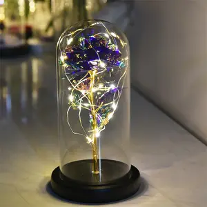 2024 hadiah dekorasi populer penutup kaca mawar Foil emas bunga kaca Galaxy Rose in dengan lampu kubah geodesic kaca
