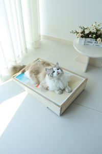 Peinture à l'huile sur toile remplaçable Design de plage Cadre en bois MDF Panneau de fibres de bois pour animaux de compagnie Scratching Board Toy Cat <span class=keywords><strong>Sisal</strong></span> Scratcher - Product Image 2