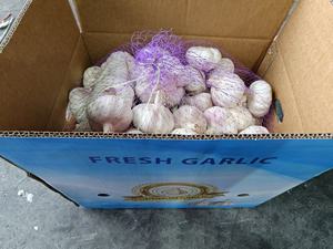 Nueva cosecha de ajo fresco chino blanco Normal/ajo blanco puro Alho Ajo Ail suministro con precio al por mayor de ajo - Product Image 4