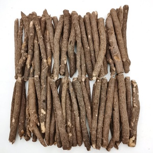 China <span class=keywords><strong>Pao</strong></span> <span class=keywords><strong>Tong</strong></span> Hybrid Paulownia <span class=keywords><strong>Z07</strong></span> Wortel Groei Massief Houten Bord Voor Maken Meubels En Landschapsarchitectuur - Product Image 2