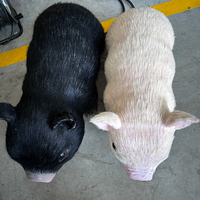Modèle d'animal réaliste animatronique électrique de parc d'attractions, modèle de cochon en métal pour parcs à thème, centres commerciaux, parcs d'aventure