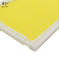 Trade Assurance New Langstorth Beehive Foundation con marco Plastic Honey Comb Beehive con garantía de alta calidad