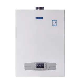 Penjualan Laris Harga Pabrik Cina Gas Alam Terpasang Di Dinding Combi 18/20/24/26/28/32/36/40/50/55/60KW Boiler Gas