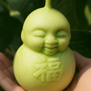 Bán buôn nhựa trong suốt bí ngô dưa hấu tăng trưởng hình thành dưa chuột dưa đỏ cà rốt trái cây và rau quả định hình khuôn - Product Image 6