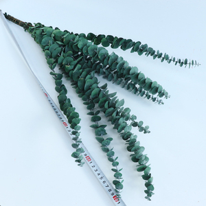 Guirlande de feuilles d'eucalyptus stabilisées et teintées, 5-7 pièces, avec pièces de monnaie en cuivre, plantes stabilisées naturelles pour Halloween, Pâques, Nouvel An Chinois - Product Image 5