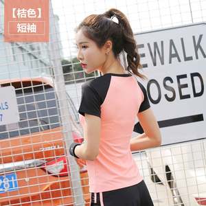 <b>Yoga</b> Clothes Round Neck Quick Drying Clothes Sportswear Curved Sweat Absorption Slim Top Fitness Short Sleeve Wholesale - Product Image 6