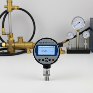 Manomètre numérique pneumatique hydraulique en acier inoxydable HSIN685, calibrateur électronique de référence 25 bar HSIN685 Digi - Product Image 1