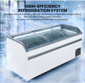 Congelador Horizontal Curvo de Vidrio Deslizante con Refrigerante R 290 y Estante Central para Supermercado, Carne Congelada, <span class=keywords><strong>Dumplings</strong></span> y Mariscos - Product Image 5