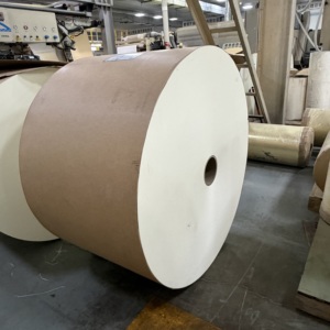 Rouleau de papier PE enduit sur mesure 170GSM 260GSM, rouleau jumbo de qualité alimentaire anti-fuite pour l'emballage alimentaire jetable en usine - Product Image 3
