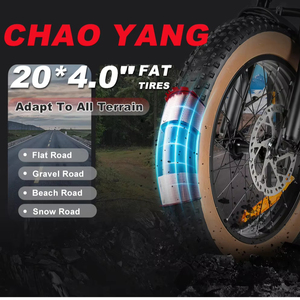 48V15Ah XWLX09-II ไฟฟ้าจักรยานเสือภูเขาพับได้20นิ้วแบบพับได้1000W แหล่งจ่ายไฟจักรยานไฟฟ้าพร้อมดิสก์ไฮดรอลิก XWLX09-II พับได้ - Product Image 2