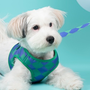 Arnés de Paseo para Perros de Malla de Poliéster Personalizado al por Mayor con Chalecos y Correa a Juego - Product Image 1