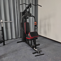 XOYOOU Mini Gym Multifonctionnel d'Intérieur à Station Unique |   Machine d'exercice multifonctionnelle pour musculation : Lat Pulldown, Chest Press et Leg Developer