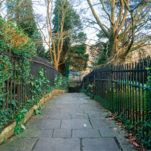 Hàng rào sơn tĩnh điện với dịch vụ chế tạo ống thép/ống cắt hàn và các bộ phận chế biến - Product Image 2