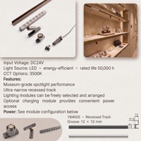 Mini projecteur LED orientable pour vitrine à bijoux, système de rail en aluminium encastré DC24V YB4005-21