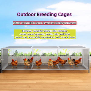 Luxe grand métal maille cage à oiseaux motif solide bouton pression maison <span class=keywords><strong>volière</strong></span> <span class=keywords><strong>pour</strong></span> Pigeons cailles canards lapins perroquets poulets-nouveau - Product Image 3