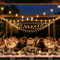 10m 20m 40m 48ft e27 e26 blanc chaud IP65 étanche mariage globe patio jardin extérieur café LED feston guirlande lumineuse