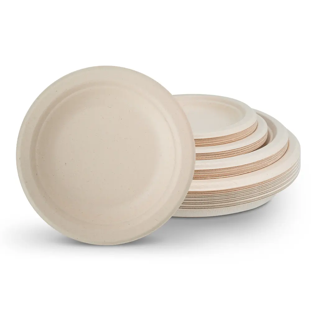 Disposable 10-Inch Sugarcane Bagasse Plate for Parties