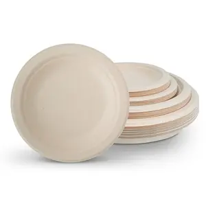Disposable 10-Inch Sugarcane Bagasse Plate For Parties