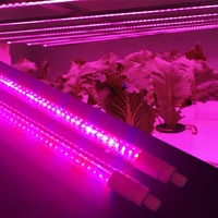 Barre de lampes de croissance led à spectre complet, 600mm 12w t8 t10 uv ir pour serre intérieure plantes médicales