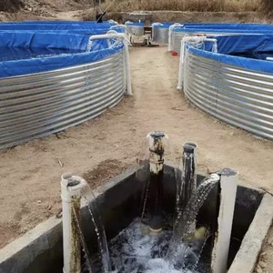 Estanque de PVC galvanizado para acuicultura y almacenamiento de agua en huertos, cría de Koi, langostas y tilapias - Product Image 2
