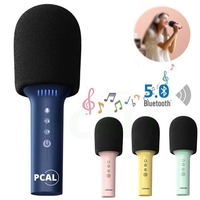 Microphone de karaoké sans fil à main BT pour le divertissement