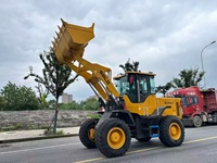 Macchine per Movimento Terra, Pala Gommata Usata SDLG L936L, Pale per Lavori di Movimento Terra, Carico in Aziende Agricole e Cantieri