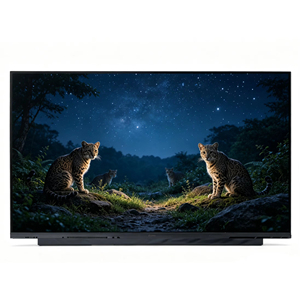 Écran LCD de remplacement pour ordinateur portable BOE NV156FHM-N67 15,6 pouces FHD 1920x1080 60Hz EDP 2 voies, neuf, pour PC/ordinateur - usage professionnel 99% - Product Image 1