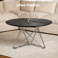 Table basse minimaliste en bois noir avec structure en acier inoxydable pour salon et maison