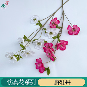 Wild <b>Peony</b> Silk Flowers 9 Colors Wedding Ceiling Decorations <b>Artificial</b> Floral Arrangements - Product Image 2