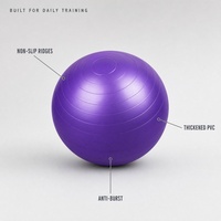 Vente Flash : Ballon de Yoga en PVC Personnalisé (OEM/ODM) avec Logo, Direct Usine, Anti-éclatement, Épais et Sablé, Tailles 20cm-150cm, Idéal pour la Salle de Sport et le Studio de Yoga