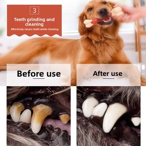 Bâtons à mâcher écologiques en nylon pour chiens, jouets à mâcher pour chiots Border Collie, <span class=keywords><strong>Golden</strong></span> <span class=keywords><strong>Retriever</strong></span>, Labrador, fournitures pour amis à fourrure - Product Image 5