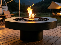 Brasero autoportant en acier moderne pour chauffage et cuisson extérieure, idéal pour villas/hôtels, compatible bois/gaz/alkohol/électrique, garantie 5 ans