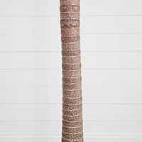 Palmier artificiel en fibre de verre de haute qualité, respectueux de l'environnement, pour décoration intérieure, feuilles artificielles, imperméable, durée de vie de 10 ans, pour la maison