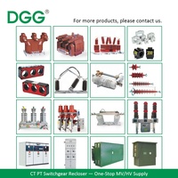 Supresor de Sobretensiones Personalizado DGG, Clase de Descarga Específica, Supresor de Rayos para Esquemas de Protección de Redes Eléctricas Industriales a Medida