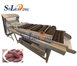 Ligne de nettoyage et de séchage de jujubes Medjool Barhee, machine de lavage et de tri de dattes de palmier - Product Image 1