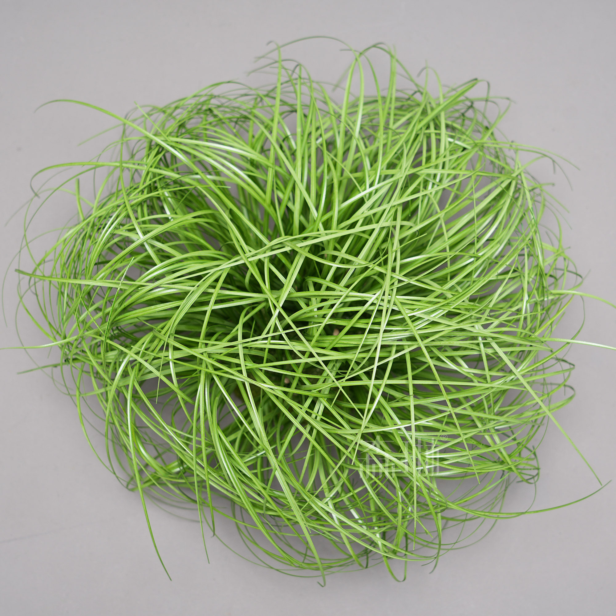 Boule d'herbe moyenne-25cm de haut-30cm de large-verte-pré-assemblée