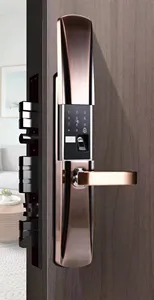 Cerradura de puerta inteligente con manija deslizante digital electrónica Tuya de China con cámara