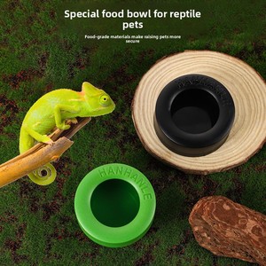 Suministros para Reptiles y Anfibios, Material PP Duradero y Ecológico para Prevenir <span class=keywords><strong>la</strong></span> <span class=keywords><strong>Escape</strong></span> de Mascotas, Escondite para Lagartos, Alimentación con Gusanos de <span class=keywords><strong>la</strong></span> Harina - Product Image 2