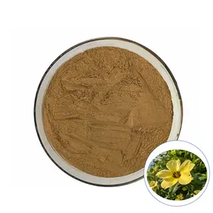 Damiana Leaf Extract Powder Turnera diffusa Extract Factory Supplier